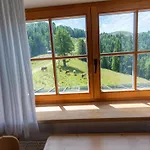Jauchza! Berg Mit 360 Grad Blick Daire *