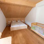 Jauchza! Berg Mit 360 Grad Blick *